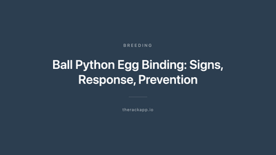 Ball Python Egg Binding: Signs, Response, Prevention