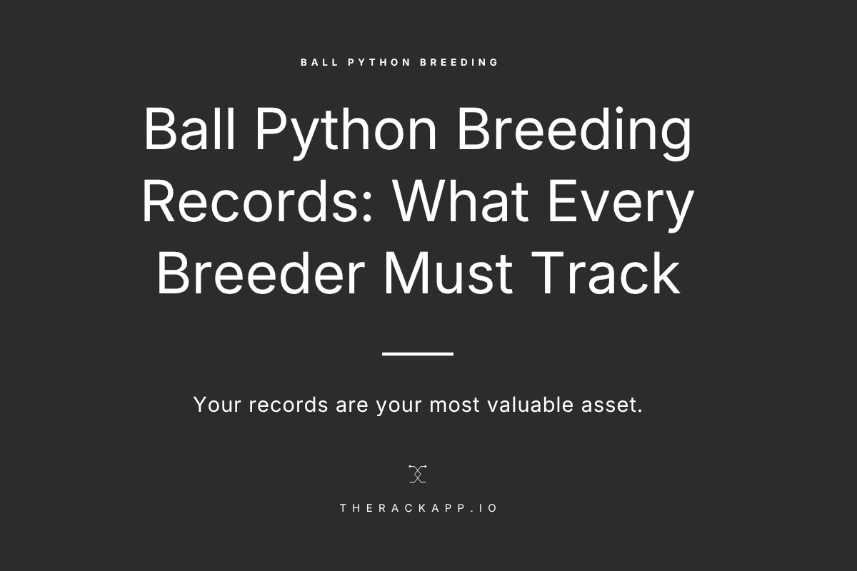 Ball Python Breeding Records: What Every Breeder Must Track