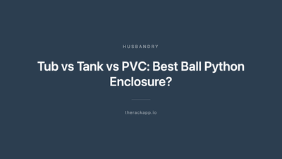 Tub vs Tank vs PVC: Best Ball Python Enclosure?