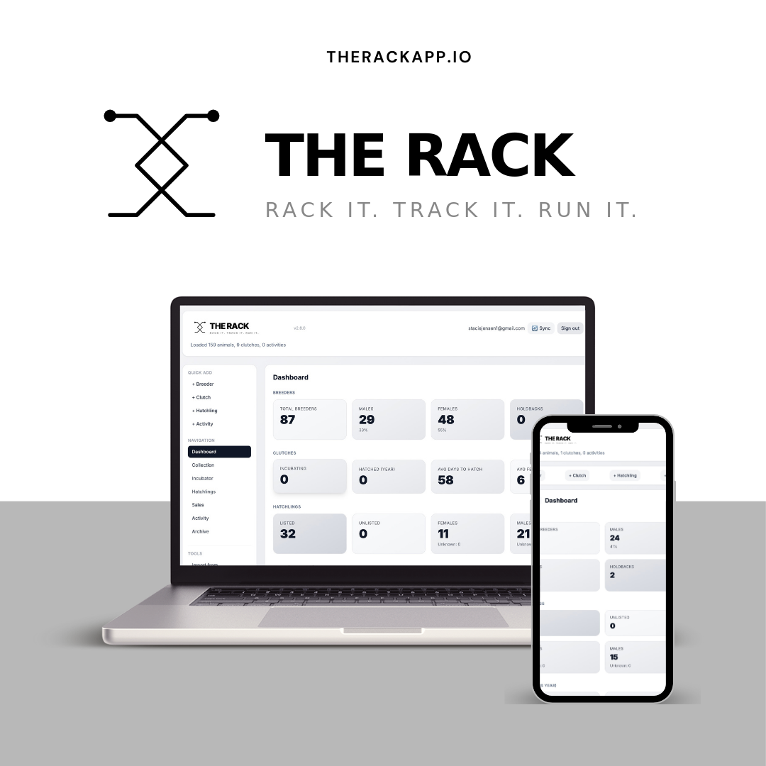What to Look for in a Ball Python Management App – The Rack App