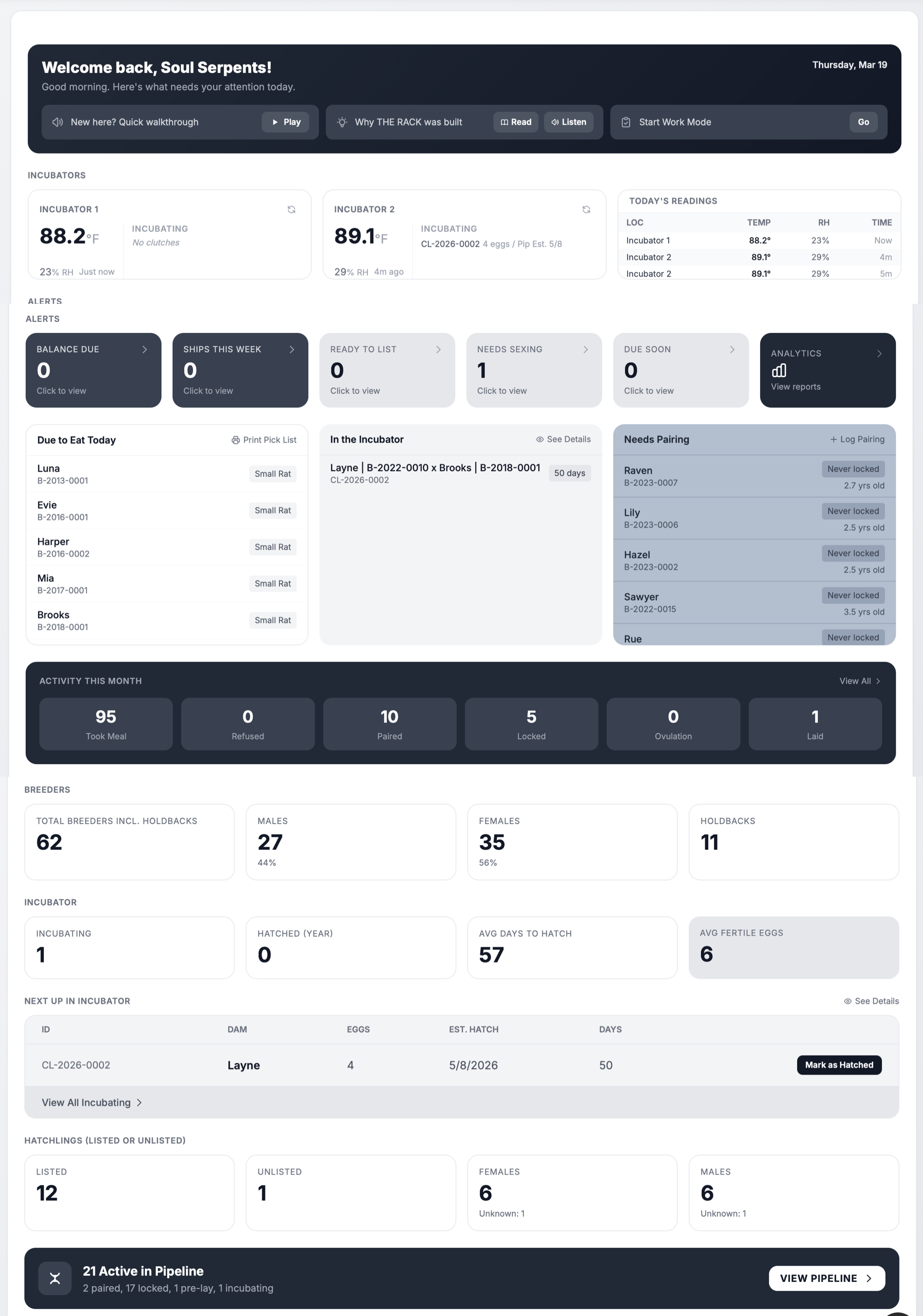 THE RACK ball python breeding app dashboard