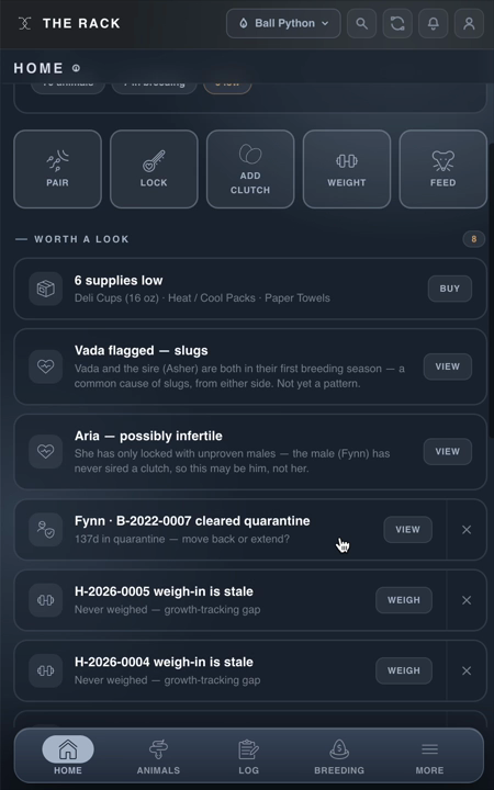 THE RACK home screen: quick actions and smart flags